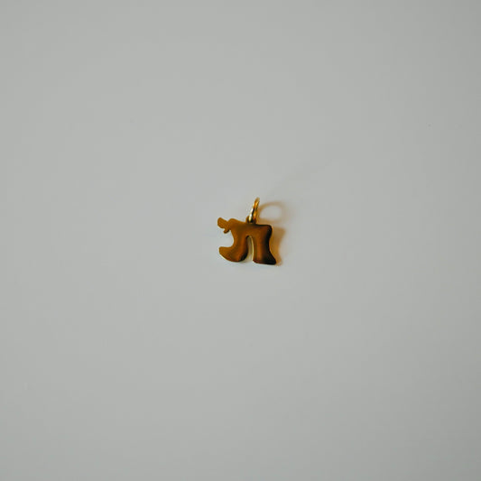 Chai Jewish Charm