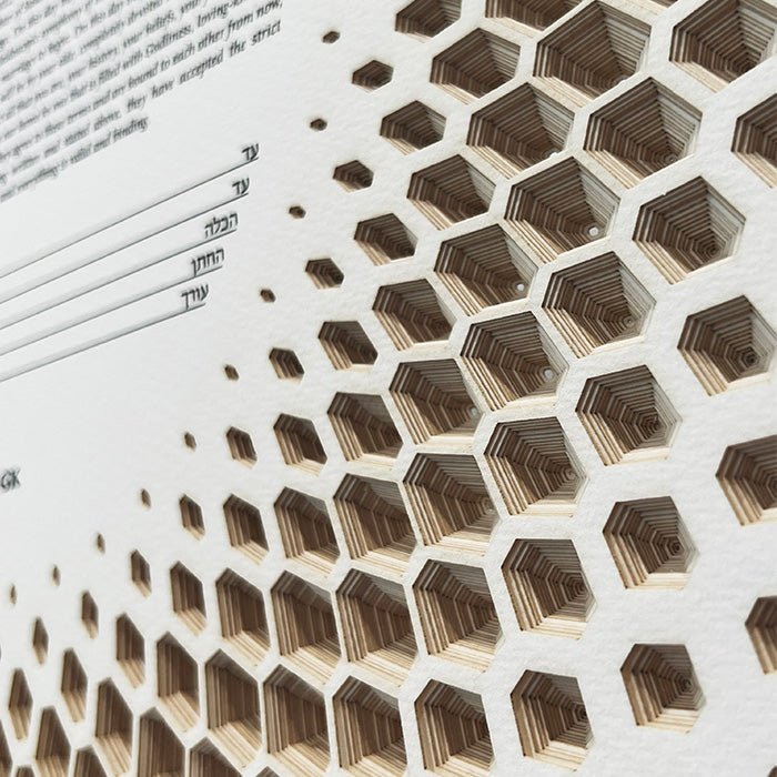 Super close up of modern ketubah